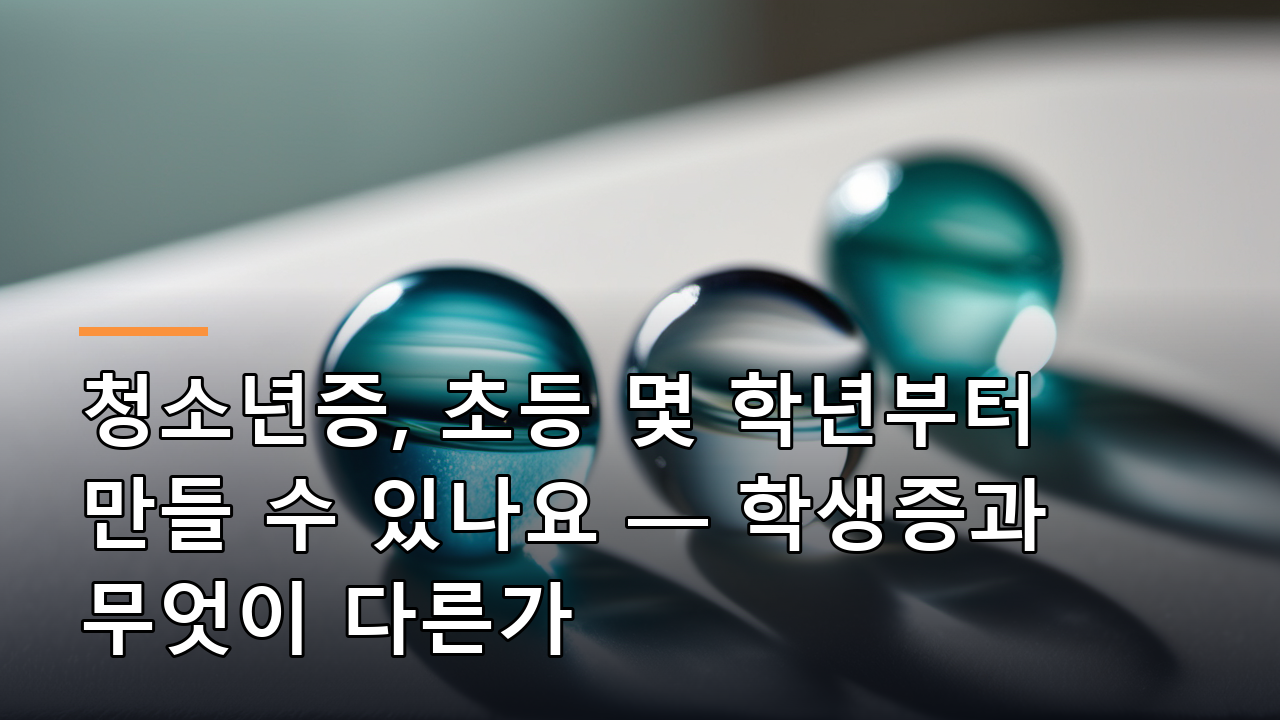 청소년증, 초등 몇 학년부터 만들 수 있나요 — 학생증과 무엇이 다른가