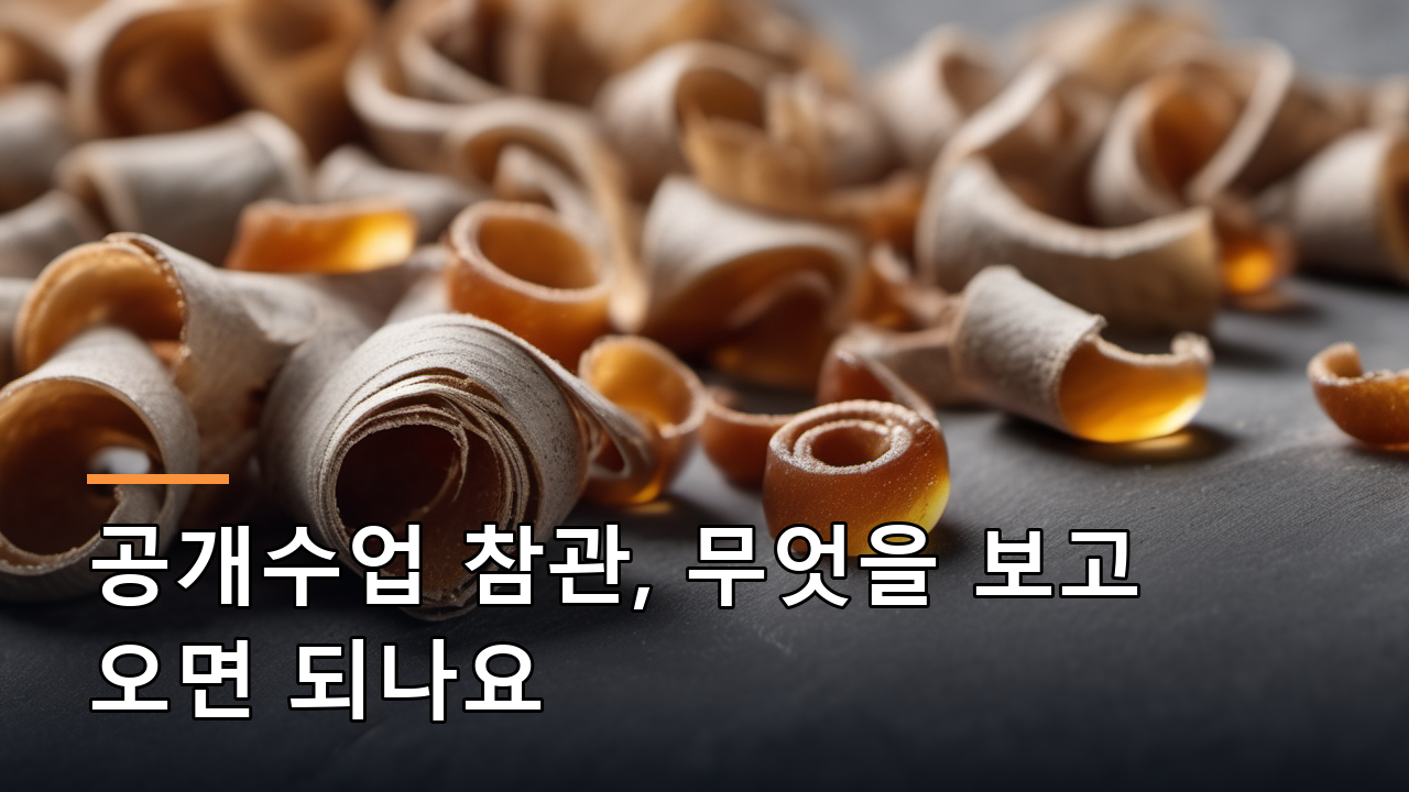 공개수업 참관, 무엇을 보고 오면 되나요