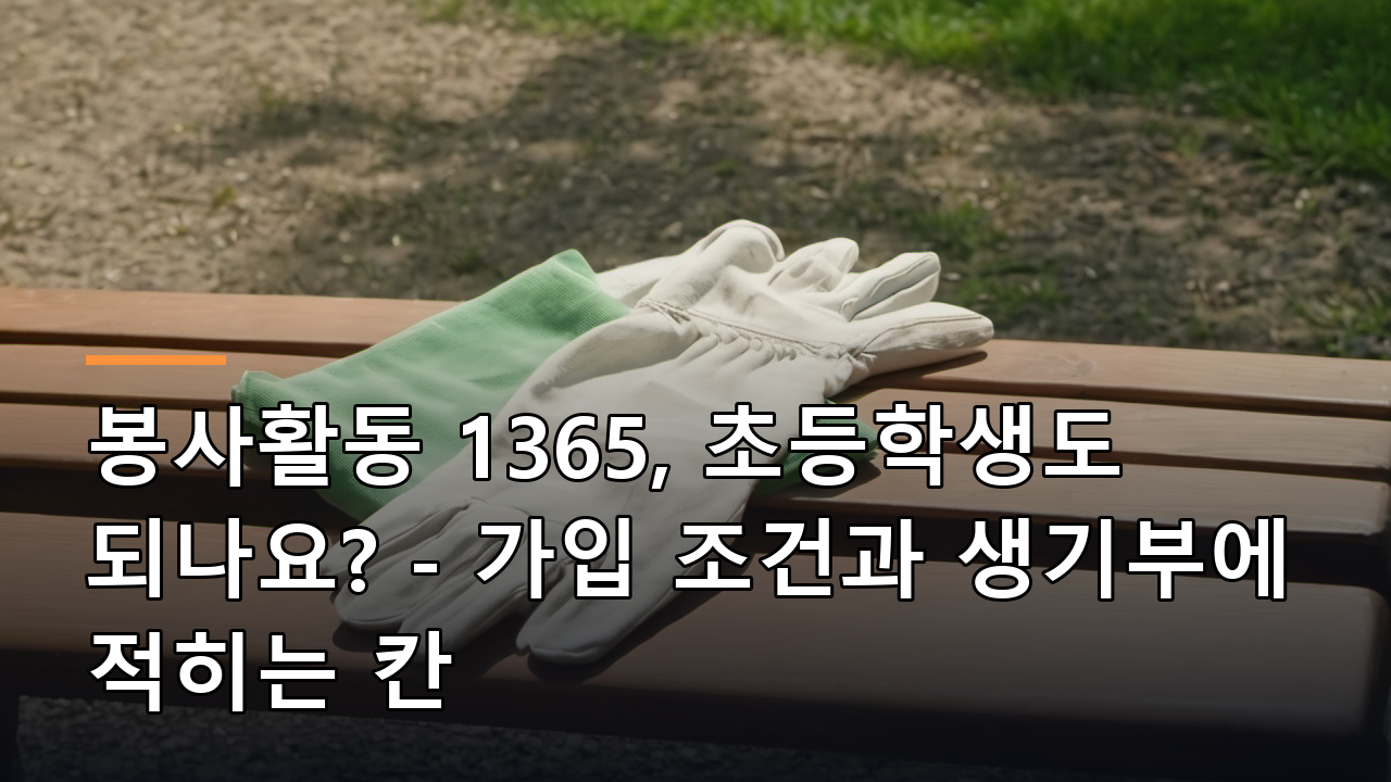 봉사활동 1365, 초등학생도 되나요? - 가입 조건과 생기부에 적히는 칸