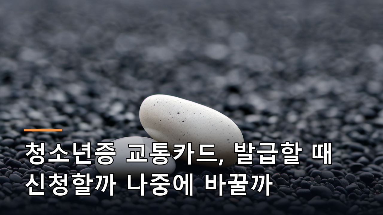 청소년증 교통카드, 발급할 때 신청할까 나중에 바꿀까