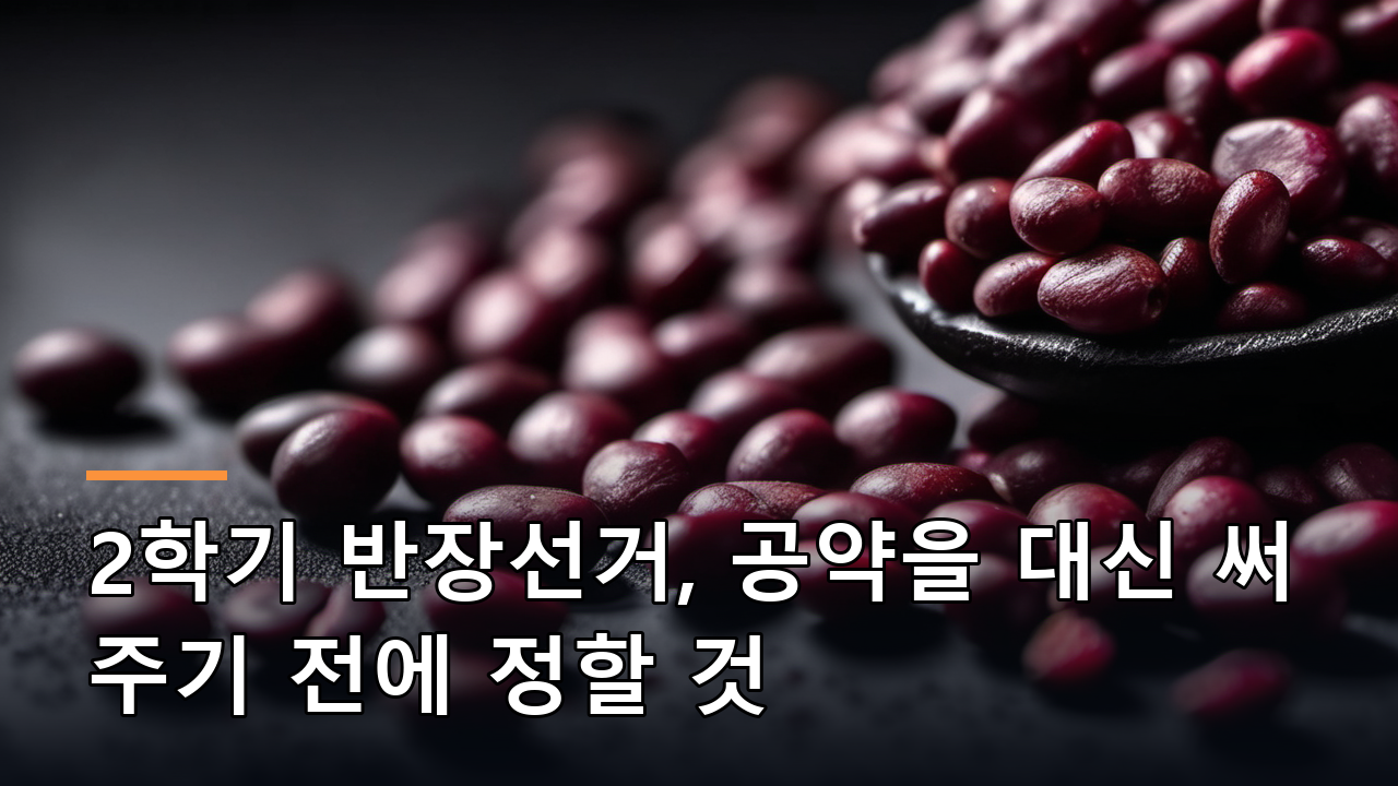 2학기 반장선거, 공약을 대신 써 주기 전에 정할 것
