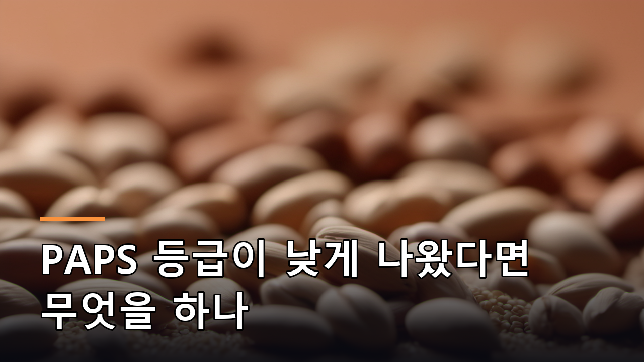 PAPS 등급이 낮게 나왔다면 무엇을 하나
