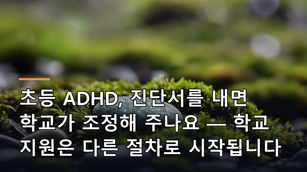 초등 ADHD, 진단서를 내면 학교가 조정해 주나요 — 학교 지원은 다른 절차로 시작됩니다