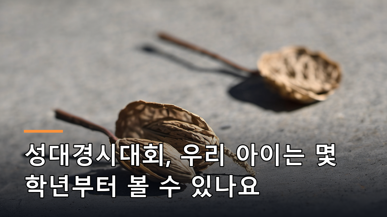 성대경시대회, 우리 아이는 몇 학년부터 볼 수 있나요