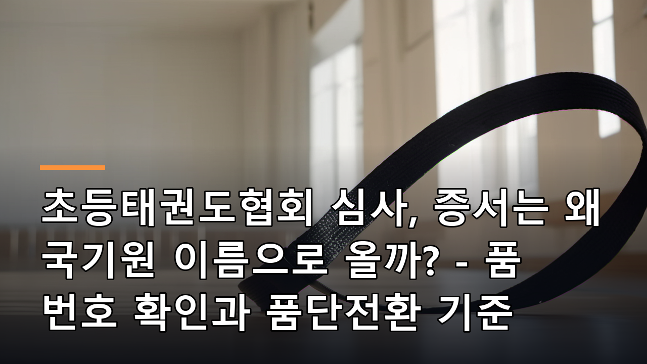 초등태권도협회 심사, 증서는 왜 국기원 이름으로 올까? - 품 번호 확인과 품단전환 기준