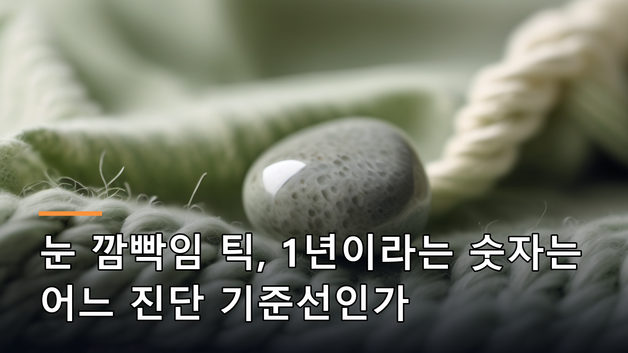 눈 깜빡임 틱, 1년이라는 숫자는 어느 진단 기준선인가