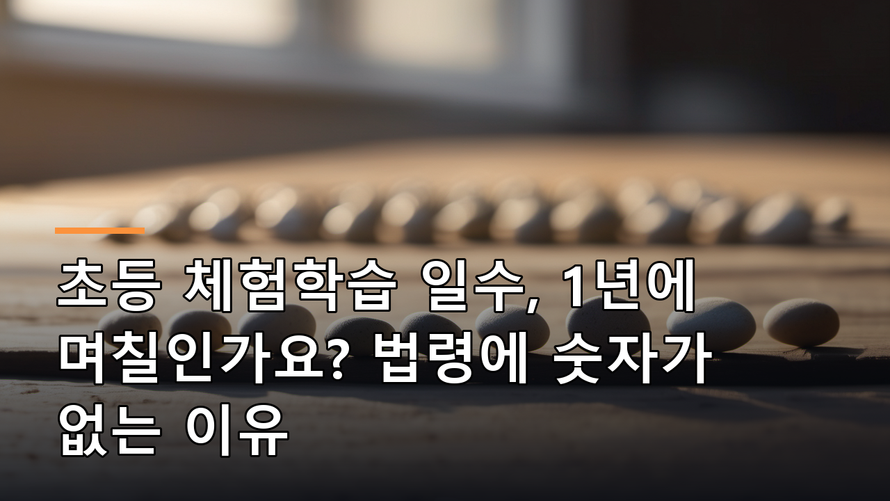 초등 체험학습 일수, 1년에 며칠인가요? 법령에 숫자가 없는 이유