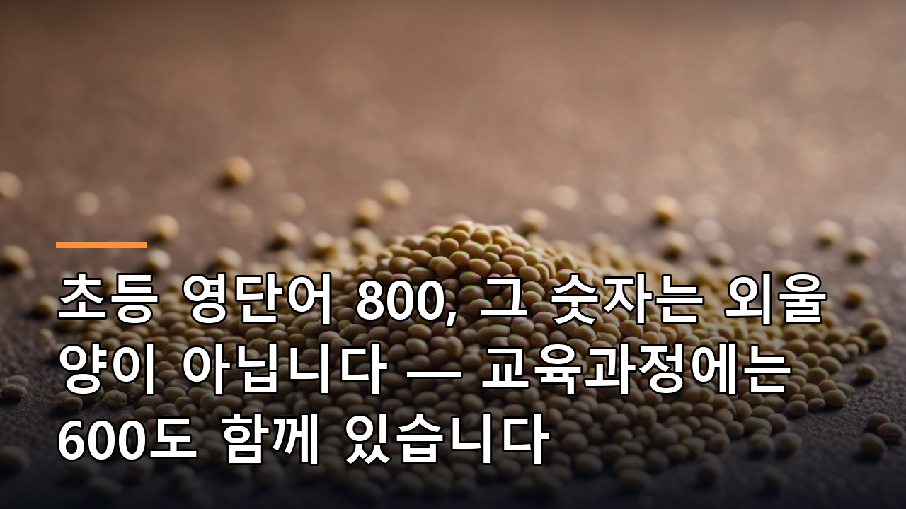초등 영단어 800, 그 숫자는 외울 양이 아닙니다 — 교육과정에는 600도 함께 있습니다
