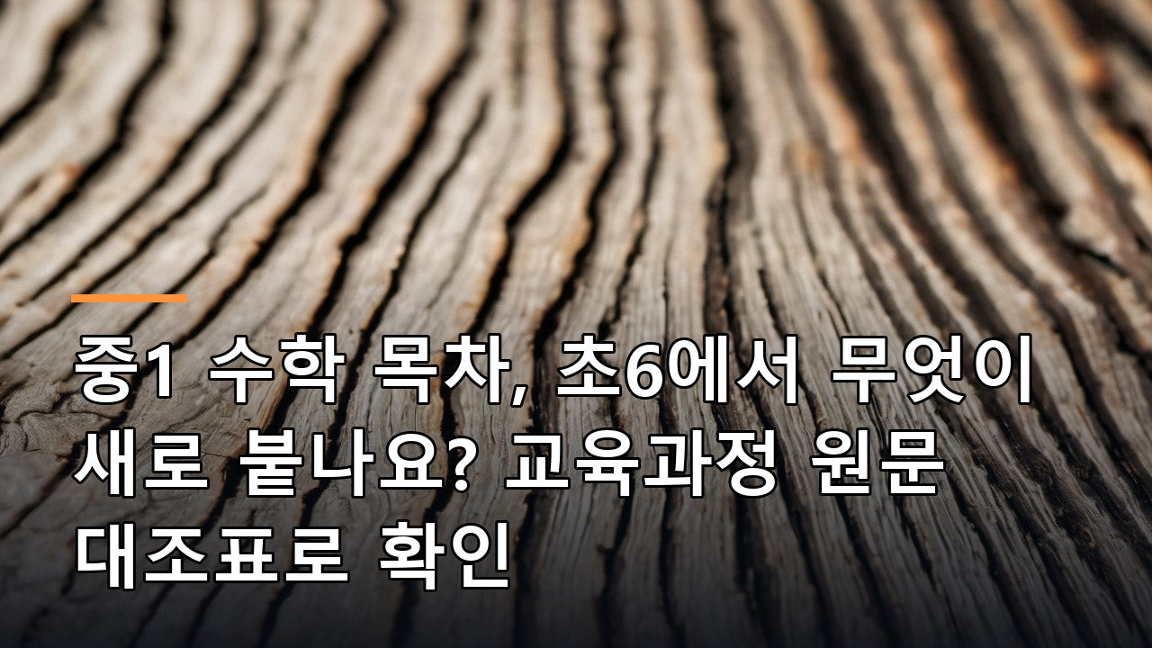 중1 수학 목차, 초6에서 무엇이 새로 붙나요? 교육과정 원문 대조표로 확인