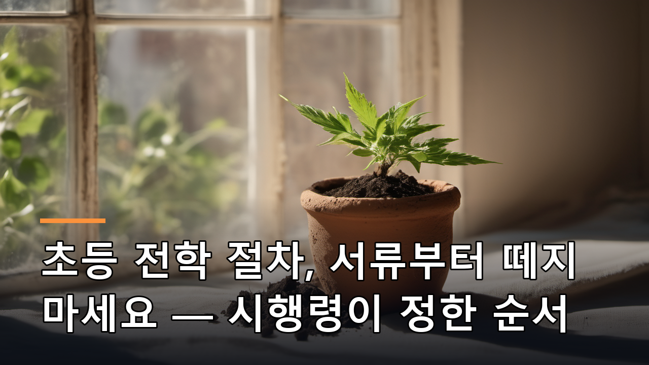 초등 전학 절차, 서류부터 떼지 마세요 — 시행령이 정한 순서