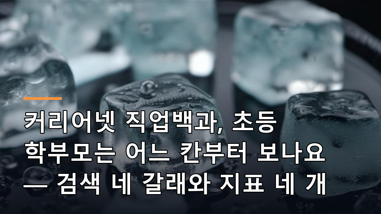 커리어넷 직업백과, 초등 학부모는 어느 칸부터 보나요 — 검색 네 갈래와 지표 네 개