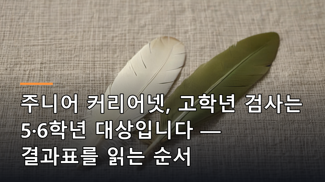 주니어 커리어넷, 고학년 검사는 5·6학년 대상입니다 — 결과표를 읽는 순서