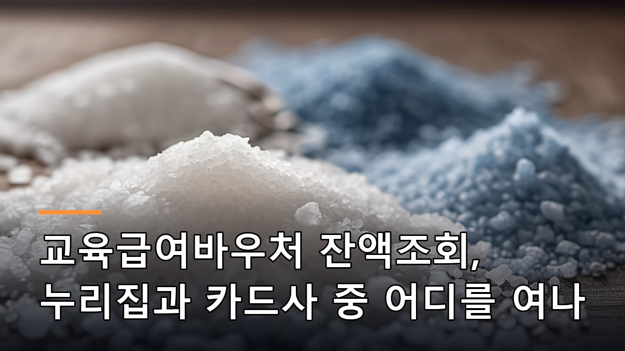 교육급여바우처 잔액조회, 누리집과 카드사 중 어디를 여나