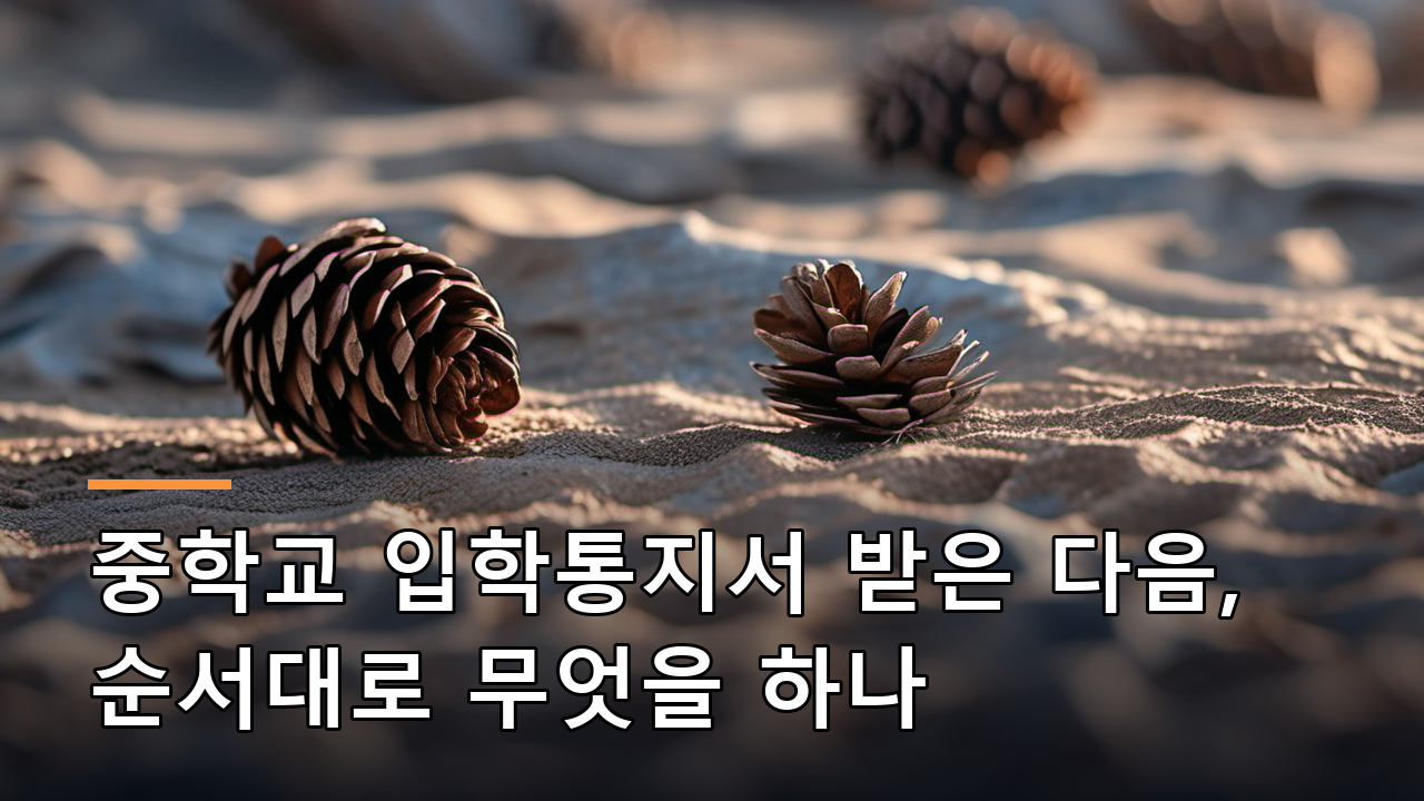 중학교 입학통지서 받은 다음, 순서대로 무엇을 하나
