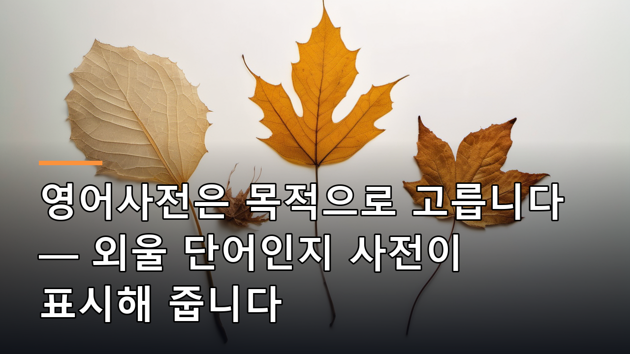 영어사전은 목적으로 고릅니다 — 외울 단어인지 사전이 표시해 줍니다